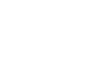 Re-Coding And Optimisation Re-Coding And Optimisation