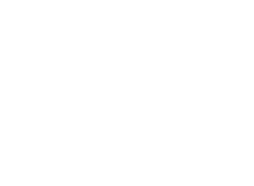 Wordpress Development Wordpress Development